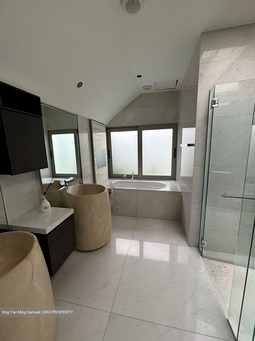 Ardmore Park (D10), Condominium #504608021